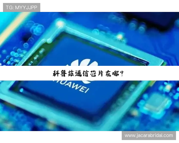 bwin必赢官网客户端下载步骤详解新手快速上手指南 bwin必赢官网客户端下载步骤详解新手快速上手指南