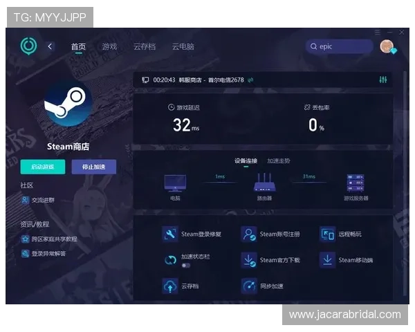 sa色碟在网络游戏中的应用优势与潜在风险，专业建议助您安全畅玩