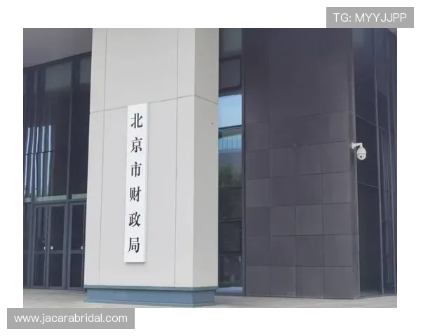 三公经费是哪三公在反腐倡廉中的重要作用及其对政府形象的影响分析 三公经费是哪三公在反腐倡廉中的重要作用及其对政府形象的影响分析