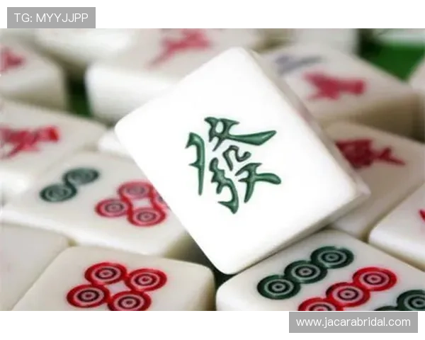 二人麻将的常见战术组合与应对技巧,助你在对局中占据优势位置 二人麻将的常见战术组合与应对技巧,助你在对局中占据优势位置