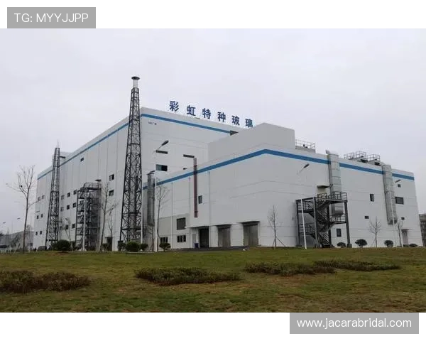 必赢亚洲77 net：全面解析平台安全保障措施与用户权益保障方案