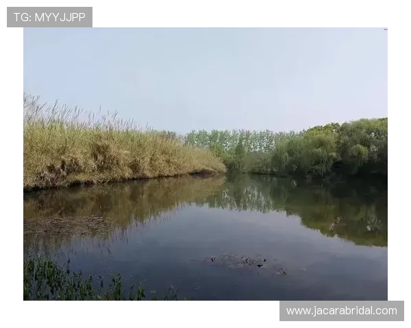 必赢体育官网入口网址导航大全，提供最全最安全的官方入口链接推荐