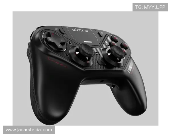 必赢会员登录入口最新版本，便捷操作助你轻松进入游戏世界体验无限乐趣